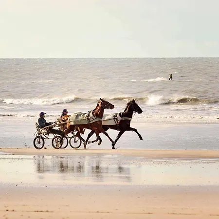 Ibis Budget Deauville 호텔 생-아르누